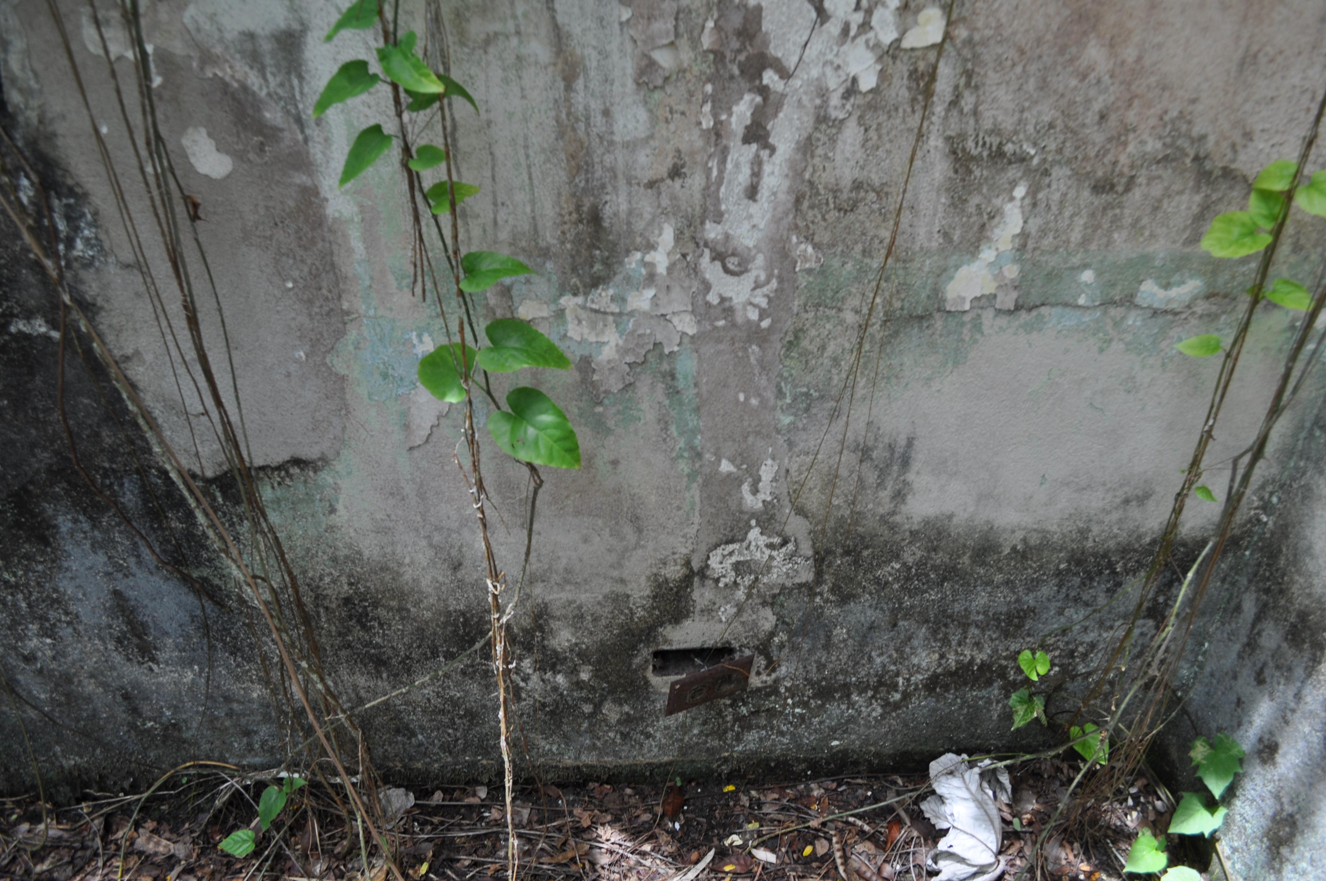 Antigua Lechería y Residencia de la Facultad de la Universidad de Puerto Rico - San Juan (Río Piedras) - 2014 00025